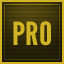 The Professional