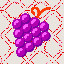 430_Grapes_3