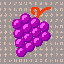 1816_Grapes_14