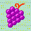 934_Grapes_7