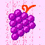808_Grapes_6