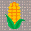 1797_Corn_14