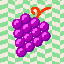 304_Grapes_2