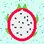 168_Dragon Fruit_1