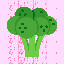 774_Broccoli_6
