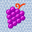 682_Grapes_5