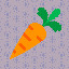 1029_Carrot_8