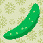 1674_Cucumber_13