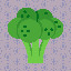 1026_Broccoli_8