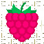 1484_Raspberry_11