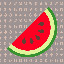 1888_Watermelon_14