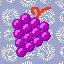 1564_Grapes_12