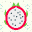 2184_Dragon Fruit_17