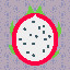 1050_Dragon Fruit_8