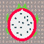 1806_Dragon Fruit_14