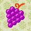 1690_Grapes_13