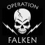 Operation Falken