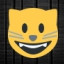 Smiling Cat Face With Open Mouth