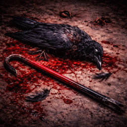 Большинство ворон пили дома