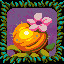Icon for Golden Gooseberry Flower
