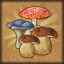 Icon for Excellent mushroom picker
