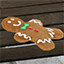 Icon for Christmas Cookie!