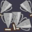 All silver trophies!