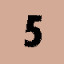 Level 5 (Brown)