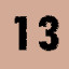 Level 13 (Brown)