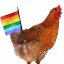 Icon for rainbow chicken