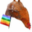 rainbow chicken