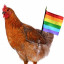 Icon for rainbow chicken