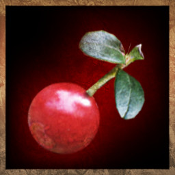 Icon for Pop THIS cherry!