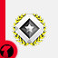 Icon for Diamond Master - Zerex