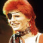 Pirate David Bowie