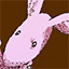 Icon for Meet a rabbit