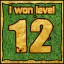 Icon for Сongratulations you won the level 12