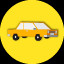 Icon for Professional Driver