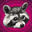Icon for Raccoon poloskun