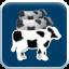 Cow purchaser - Senior