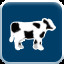 Cow purchaser - Junior