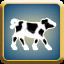 Cattle Dealer - Gold