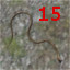 Snake Dead 15