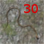 Snake Dead 30