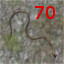 Snake Dead 70