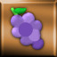 Bronze Medal - Grapes Level
