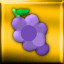 Gold Medal - Grapes Level