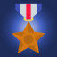 Bronze Expeditionary Medal
