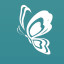 Icon for The Butterflies