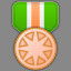 Bronze Medal Level 3